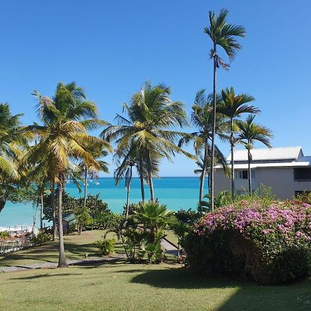 Grand Studio De 41 M², Vue Mer Et Jardin Tropical. Le Gosier  Εξωτερικό φωτογραφία