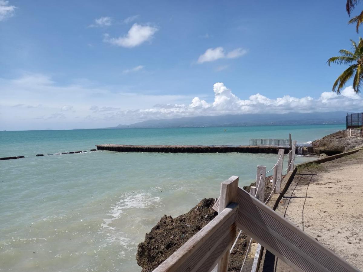 Grand Studio De 41 M², Vue Mer Et Jardin Tropical. Le Gosier  Εξωτερικό φωτογραφία